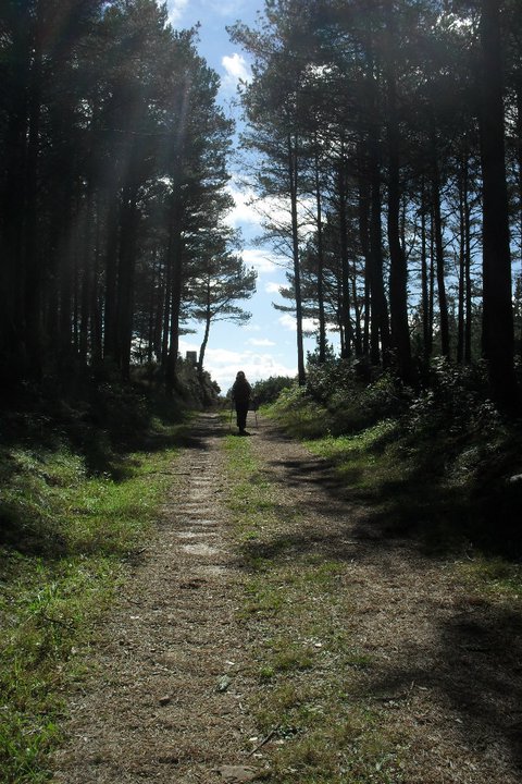 camminoprimitivo