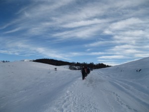 winternordic6