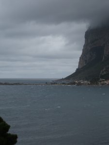 IMG_0294